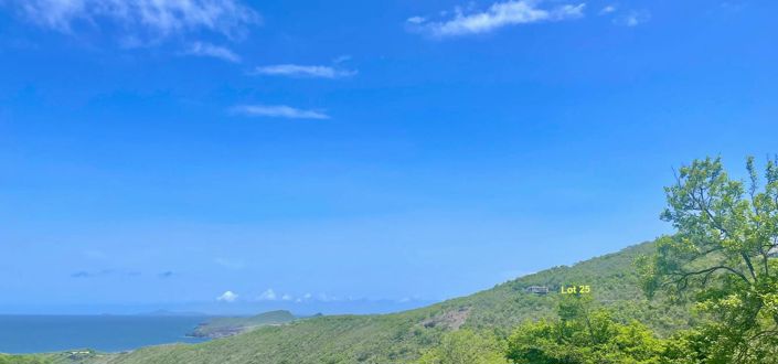 Image No.4-Propriété à vendre à Bequia