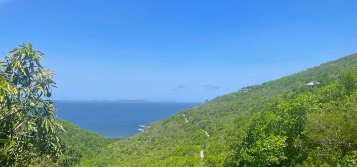 Image No.7-Propriété à vendre à Bequia