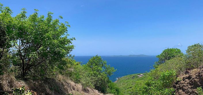 Image No.9-Propriété à vendre à Bequia