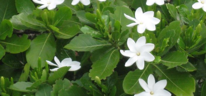 Image No.6-Propriété de 3 chambres à vendre à Lower Bay