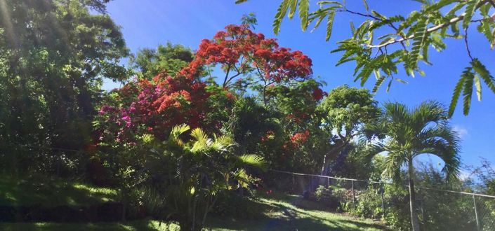 Image No.5-Propriété de 3 chambres à vendre à Cap Estate