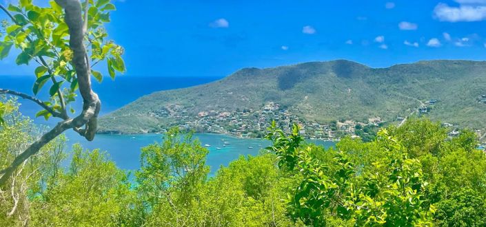 Image No.3-Propriété à vendre à Bequia