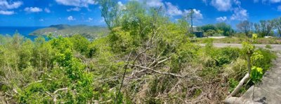 Belmont Upper Land Image 4