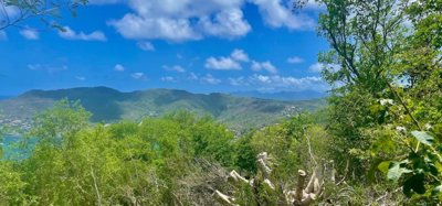 Belmont Upper Land Image 5