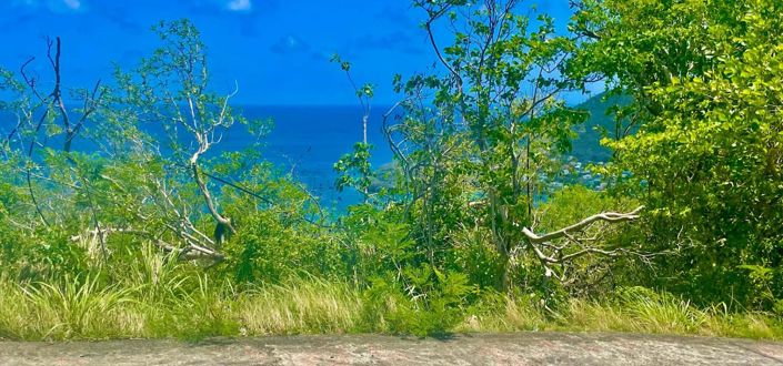 Image No.6-Propriété à vendre à Bequia