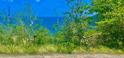 Belmont Upper Land Image 6