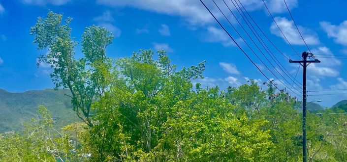 Image No.7-Propriété à vendre à Bequia