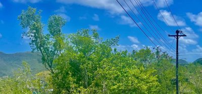 Belmont Upper Land Image 7