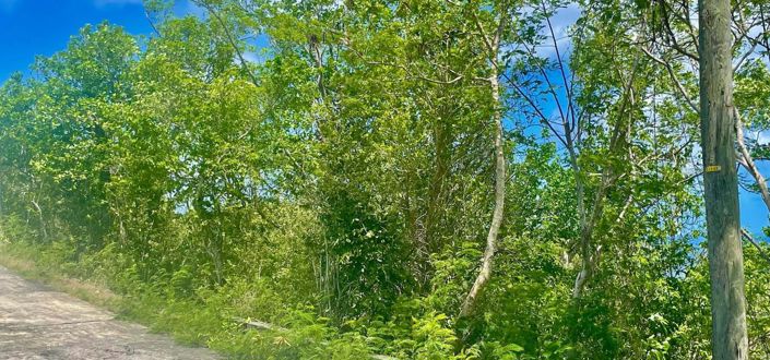 Image No.8-Propriété à vendre à Bequia