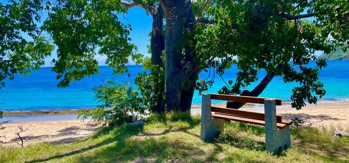 Image No.7-Propriété à vendre à Lower Bay