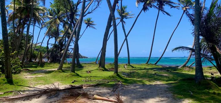 Image No.10-Propriété à vendre à Crown Point