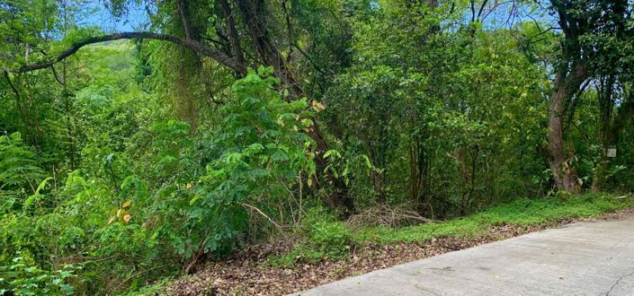 Image No.2-Propriété à vendre à Crown Point