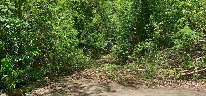 Image No.3-Propriété à vendre à Crown Point