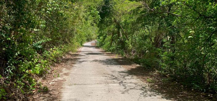 Image No.4-Propriété à vendre à Crown Point