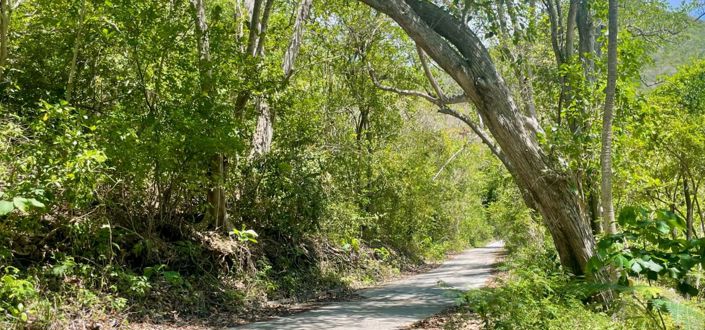 Image No.6-Propriété à vendre à Crown Point