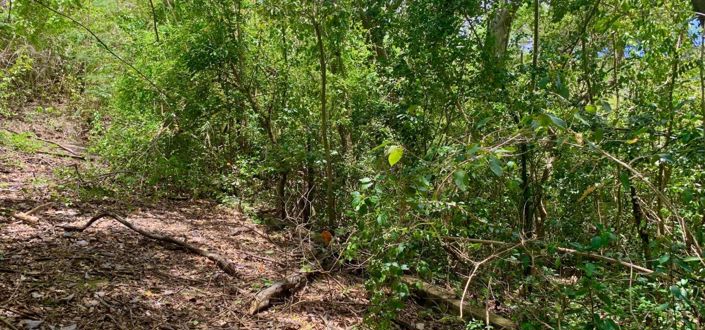 Image No.7-Propriété à vendre à Crown Point