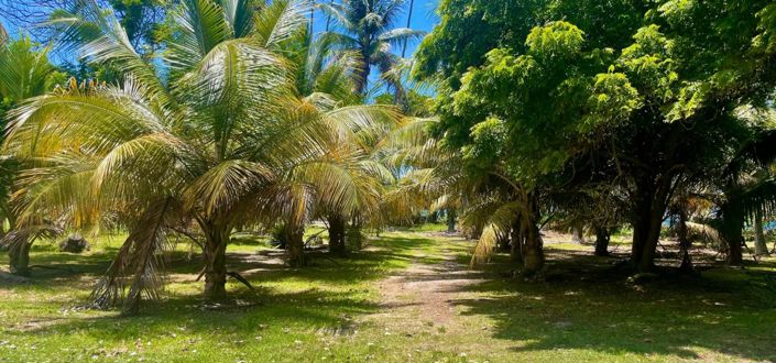 Image No.9-Propriété à vendre à Crown Point