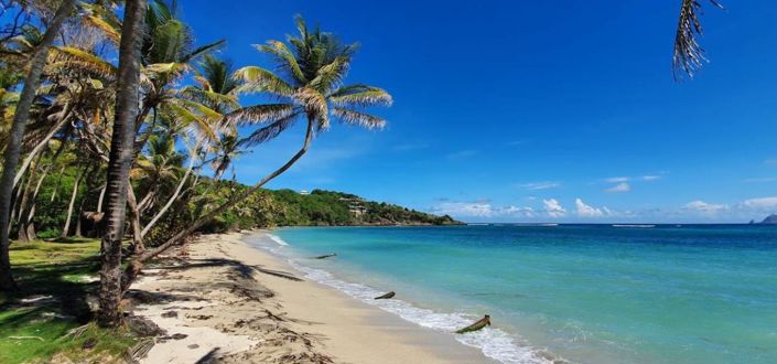 Image No.3-Propriété à vendre à Bequia