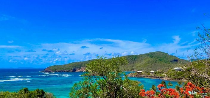 Image No.4-Propriété à vendre à Bequia