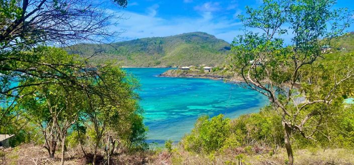 Image No.5-Propriété à vendre à Bequia