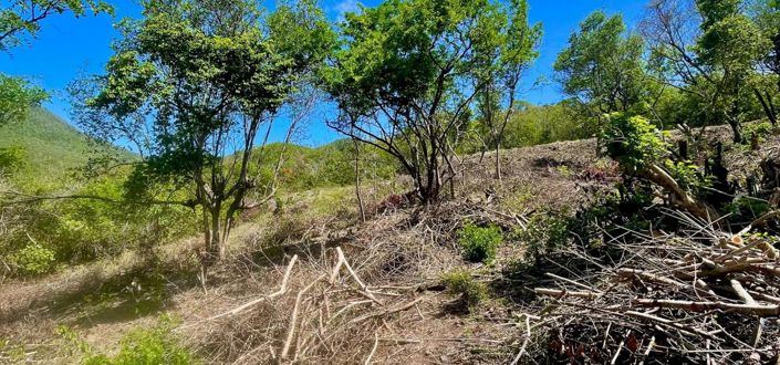 Image No.7-Propriété à vendre à Bequia