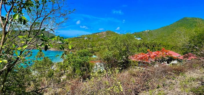 Image No.8-Propriété à vendre à Bequia