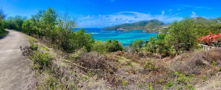 Image No.9-Propriété à vendre à Bequia