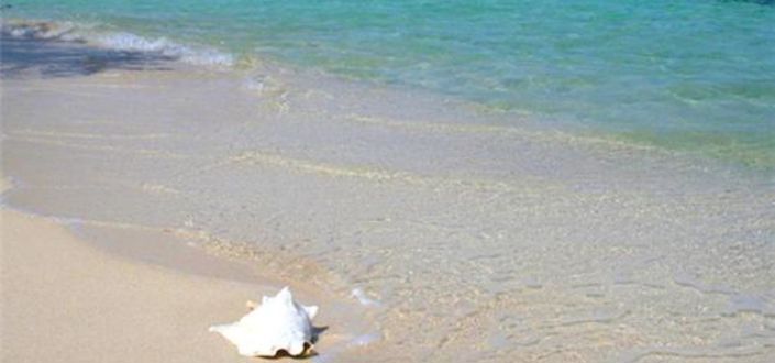 Image No.8-6 Bed Property for sale