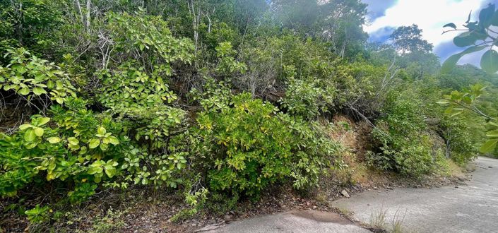 Image No.3-Property for sale