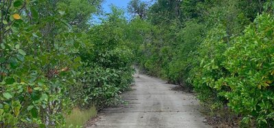 Friendship Heights Lot 31 Image 4