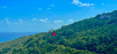 Friendship Heights Lot 31 Image 5