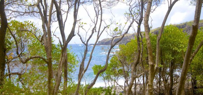 Image No.7-4 Bed Property for sale