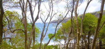 Rocky Bay Estate CONCEPT VILLA - Beachfront Largest - Lot 16 - 3.37 Acres Image 7