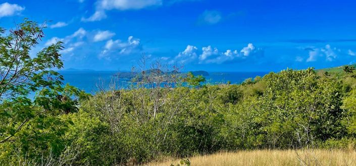 Image No.2-Property for sale