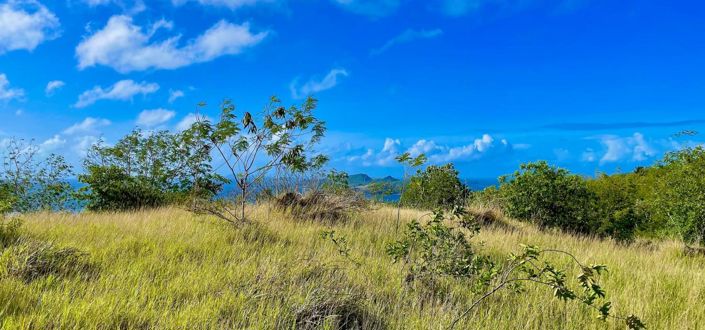 Image No.3-Property for sale