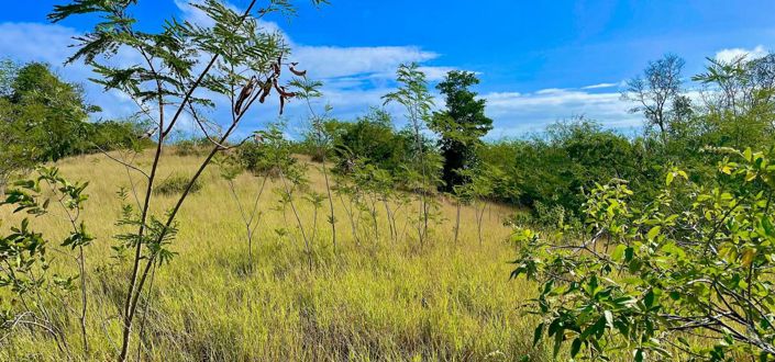 Image No.4-Property for sale