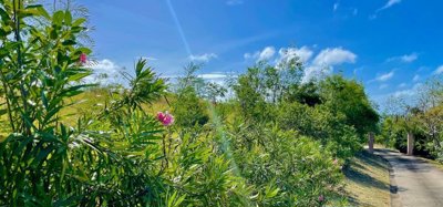 Mount Pleasant Land GR1633 Image 5