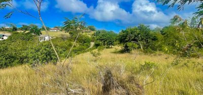 Mount Pleasant Land GR1633 Image 8