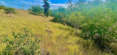 Mount Pleasant Land GR1633 Image 9