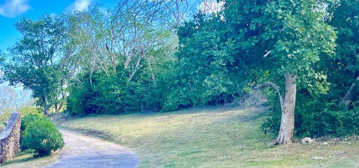 Image No.5-Propriété à vendre à Bequia