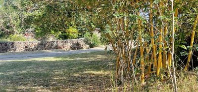 Mount Pleasant Land GR1646 Image 9