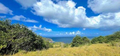 Mount Pleasant Land GR1634 Image 1