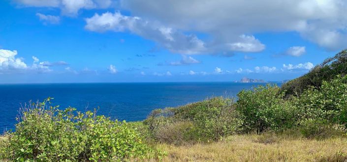 Image No.2-Propriété à vendre à Bequia