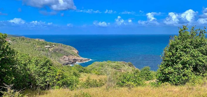 Image No.4-Propriété à vendre à Bequia