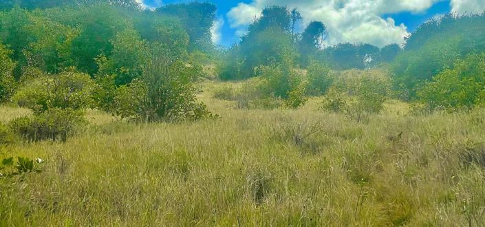 Image No.5-Propriété à vendre à Bequia