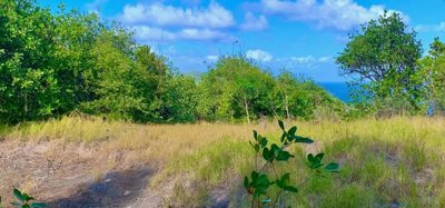 Mount Pleasant Land GR1634 Image 6