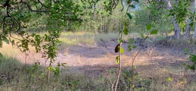 Mount Pleasant Land GR1634 Image 7