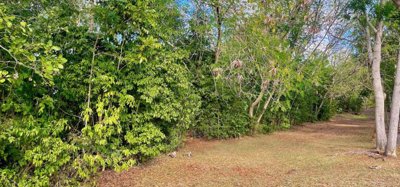 Mount Pleasant Land GR1637 Image 1