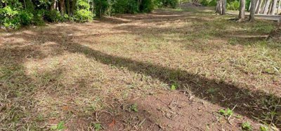 Mount Pleasant Land GR1637 Image 10