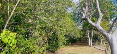 Mount Pleasant Land GR1637 Image 3